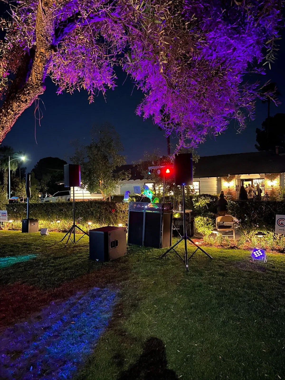 Outdoor DJ setup with purple lit trees at night
